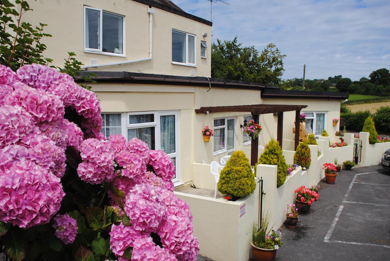 Huccaby Tor Apartmernt Torquay Zewnętrze zdjęcie
